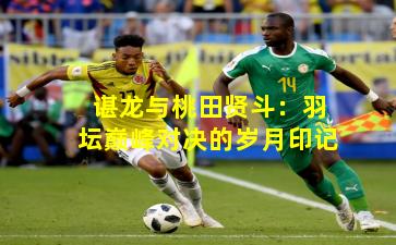 谌龙与桃田贤斗：羽坛巅峰对决的岁月印记